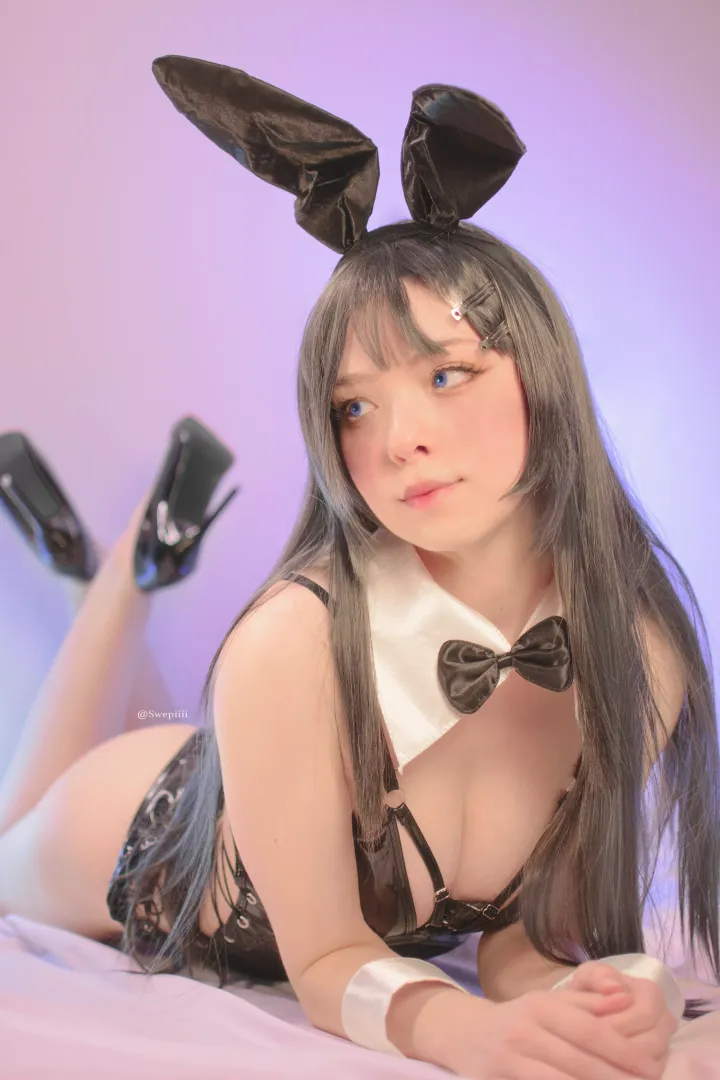 Cute little bunny