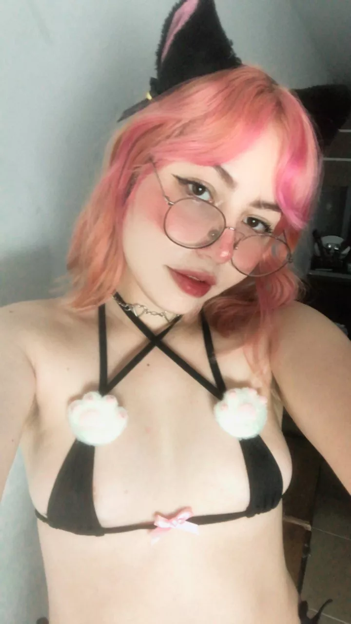 Cutie Kitten is ready...