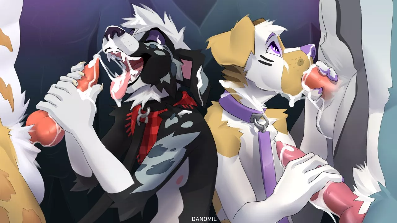 (Danomil)