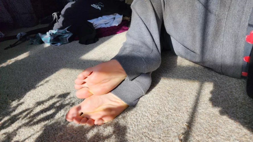 dappled paws