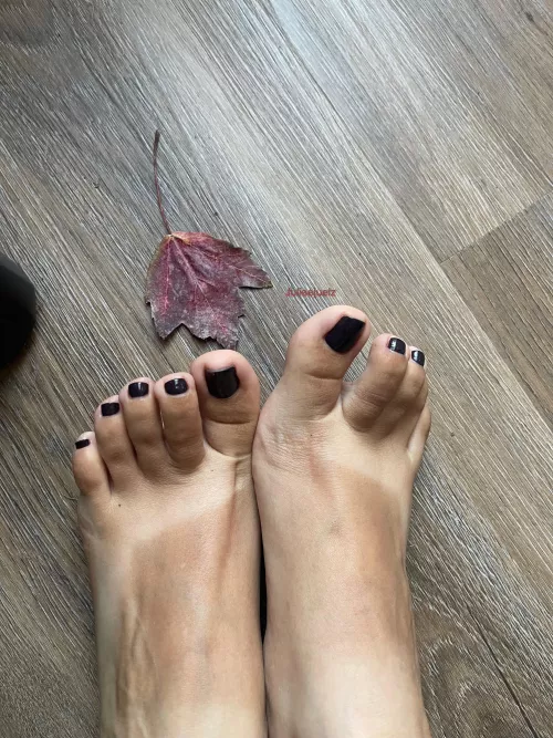 Dark fall color to match my soul 😈🇨🇴🍂