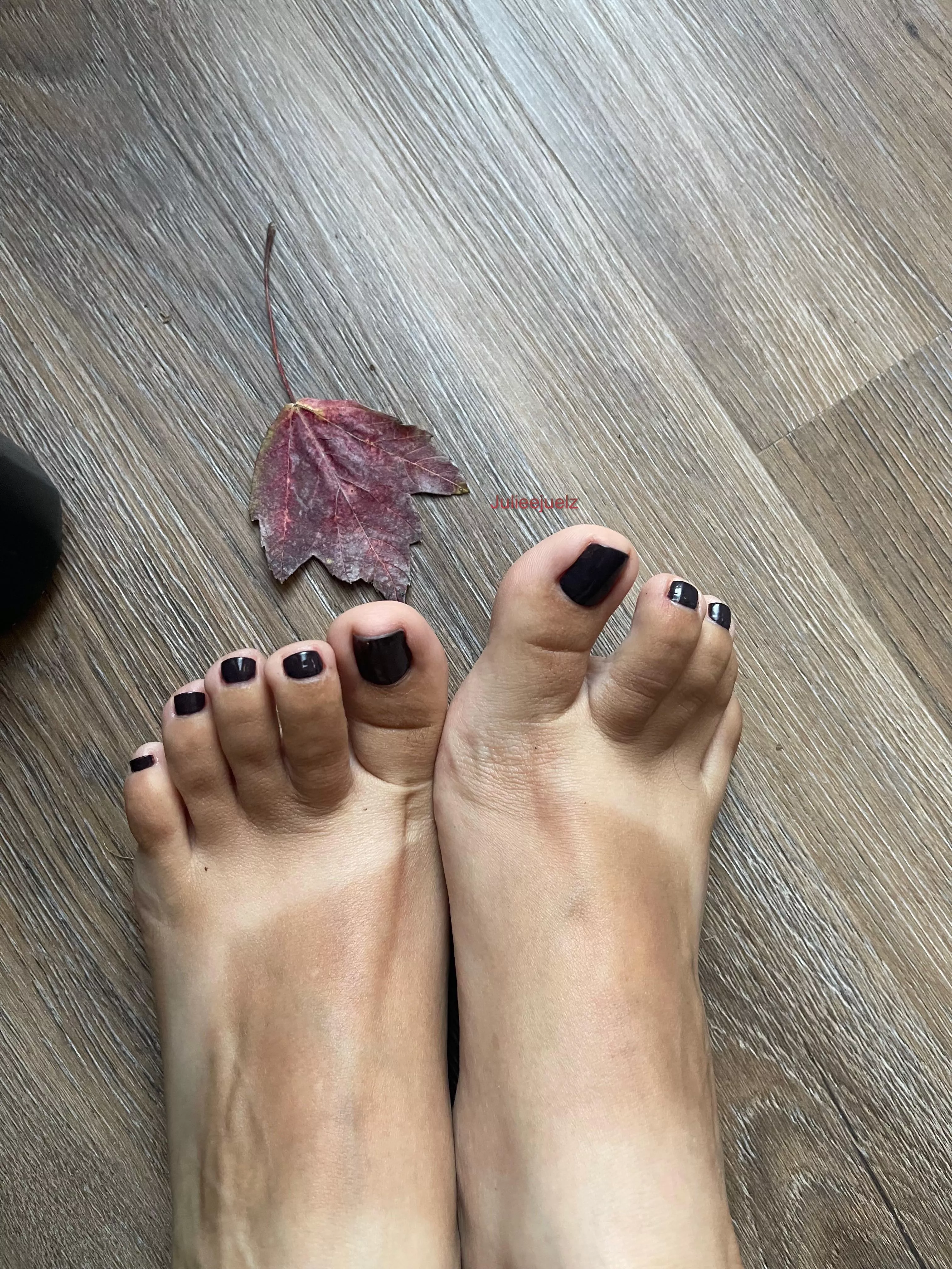 Dark fall color to match my soul 😈🇨🇴🍂