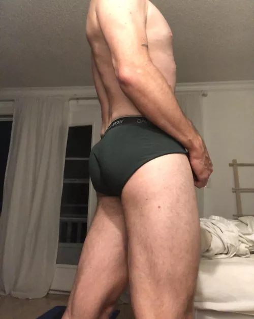 David Archy briefs