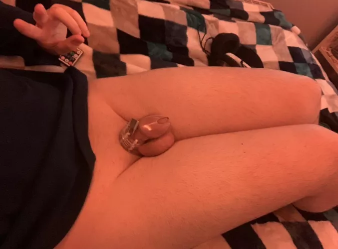 Day 2 , Starting to miss playing with my little sissy cock but I’m managing to cope so far , Getting hard in my cage has felt so good hehe