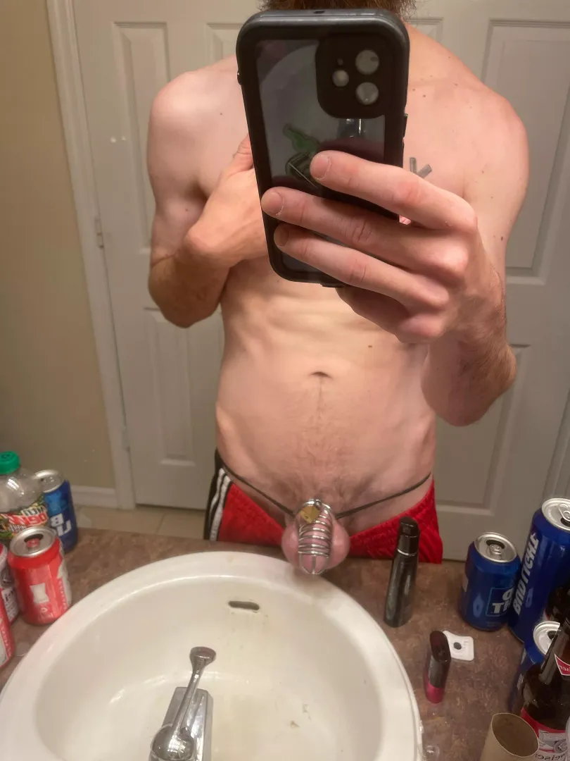 Day 7 checking in