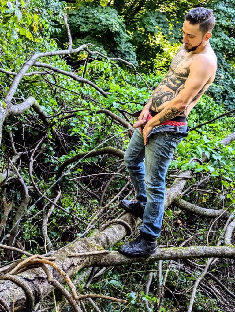 Deep in the woods