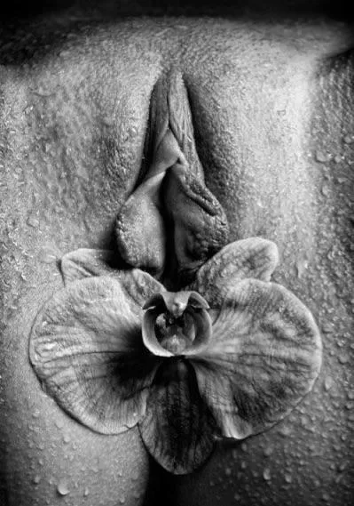 Delicate flowers 