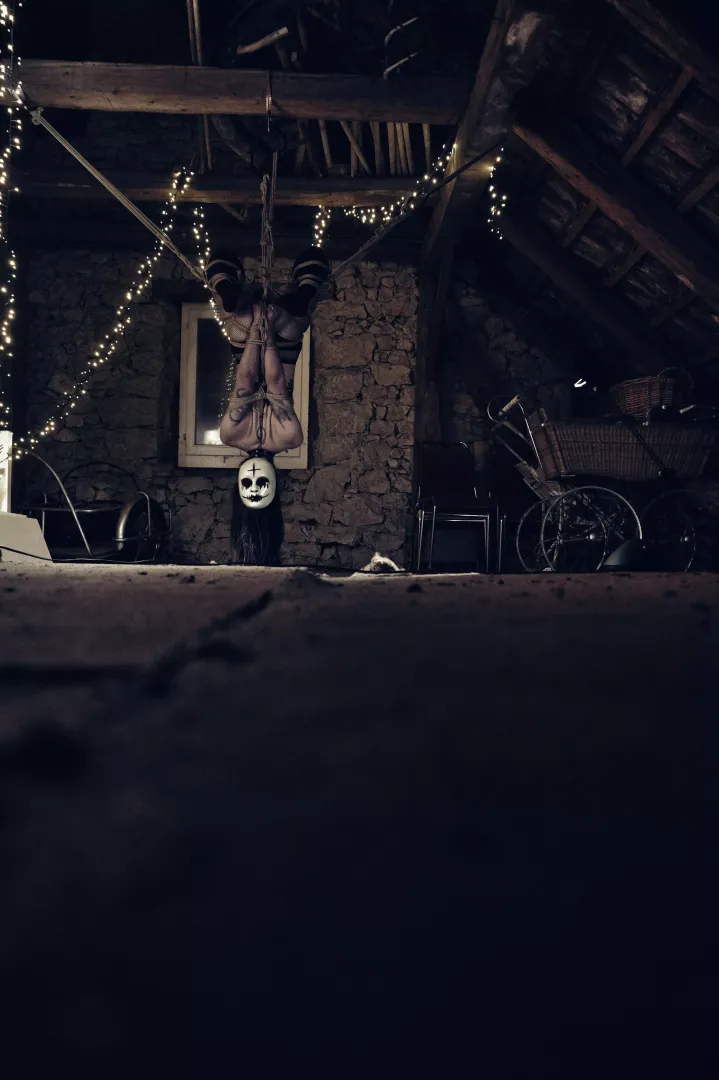 demon in the attic