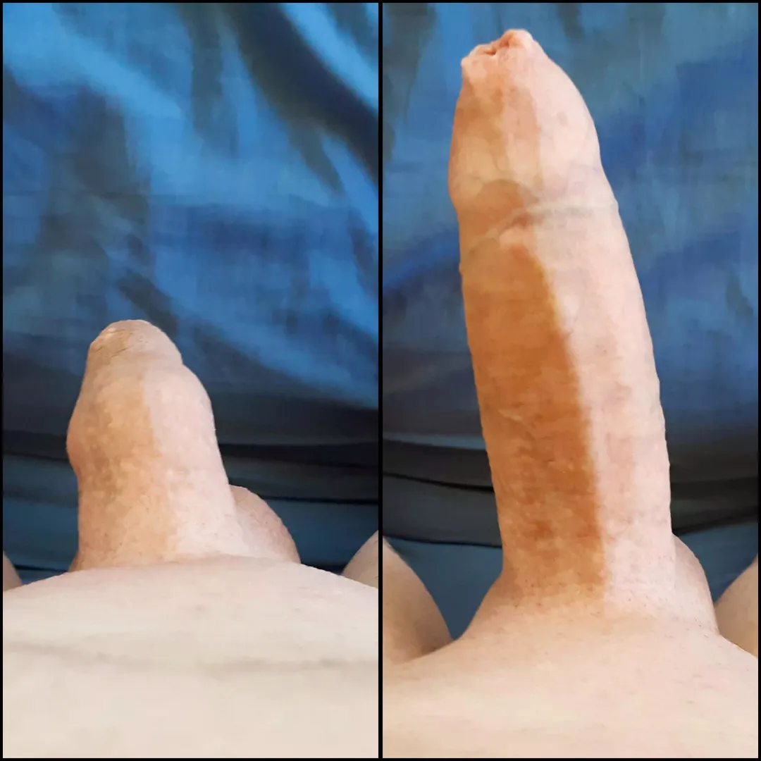 Dick-riculous