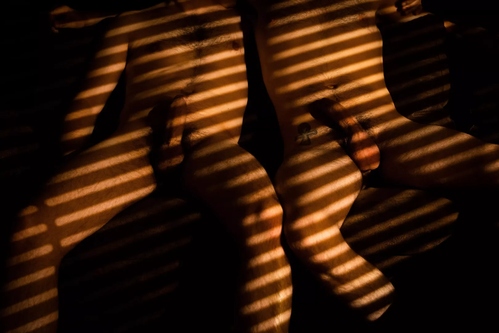 Dicks and stripes