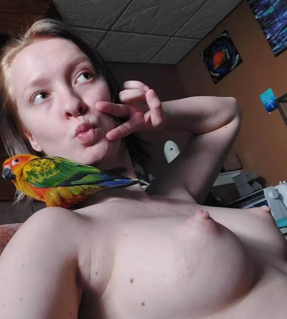 Did you even see the bird ?