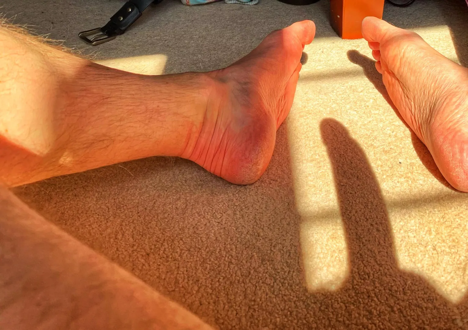 Did your groundhog see its shadow today?