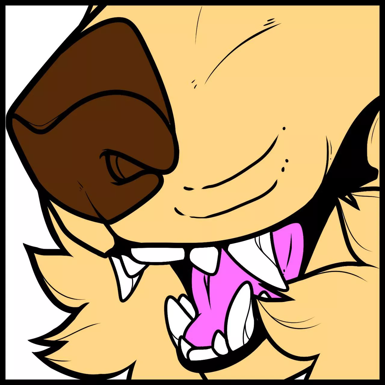 Dingo maw :3