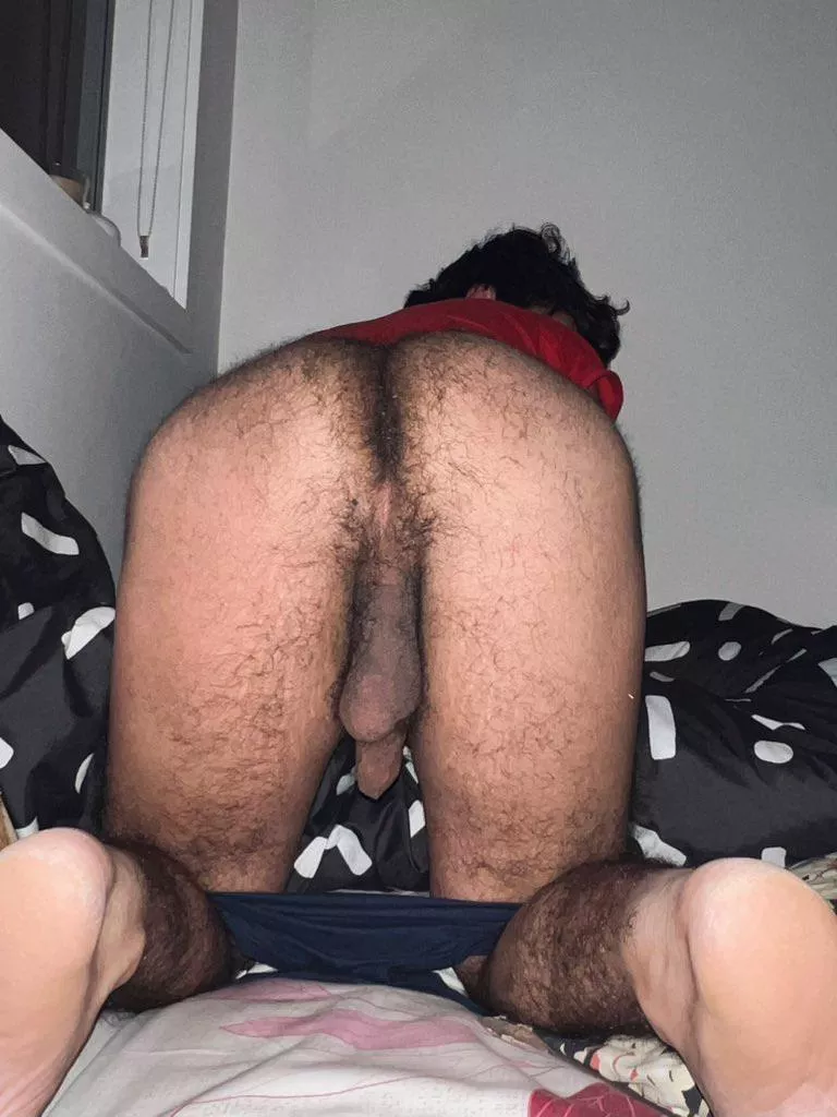 dinner