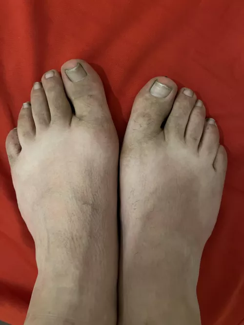 Dirty Feet After Work 🥵 Twitter.com/feetfeverdreams