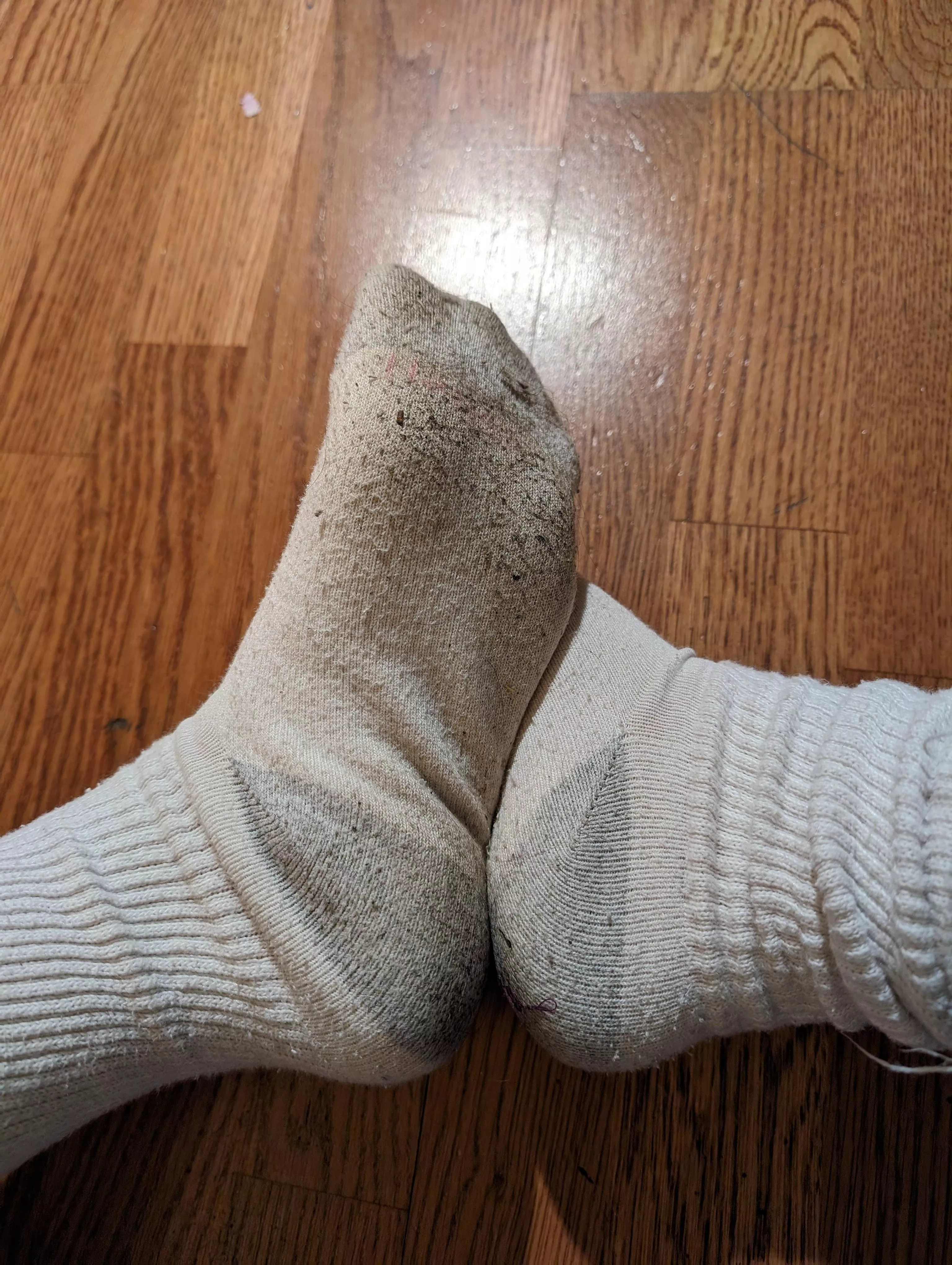 Dirty white Hanes socks 