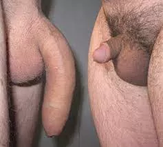 [Discord] [wickr] [snap] I'm looking for a bud to give me a quick honest dick rating on live mic over a live voice call. Any detail is much appreciated. Hmu for username
