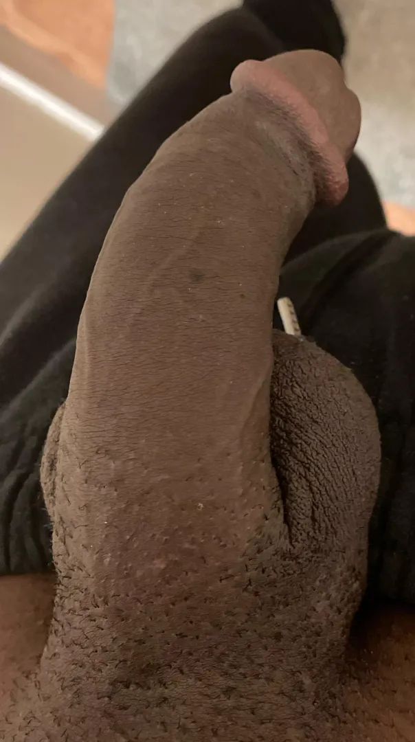 Dm me if u want it