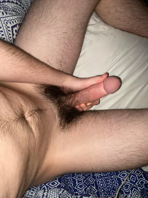 Dms open