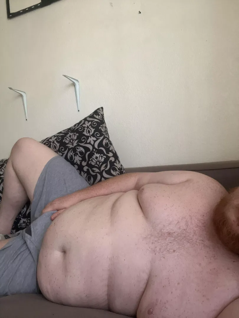 Do I count as a bear?