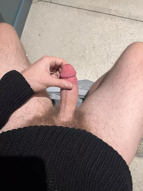 Do I count as an otter? [37]