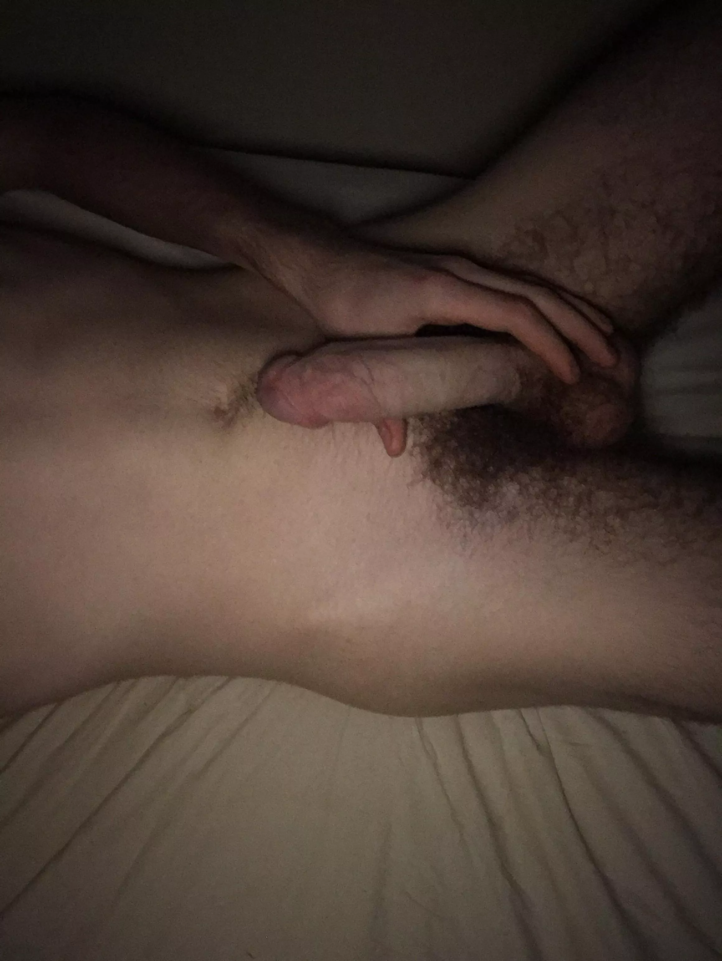 Do I have a nice Penis?