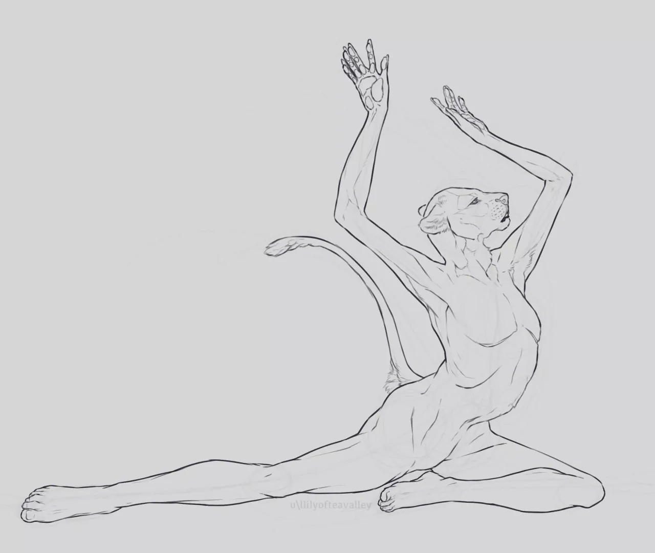 Do it for them (wip by: me)