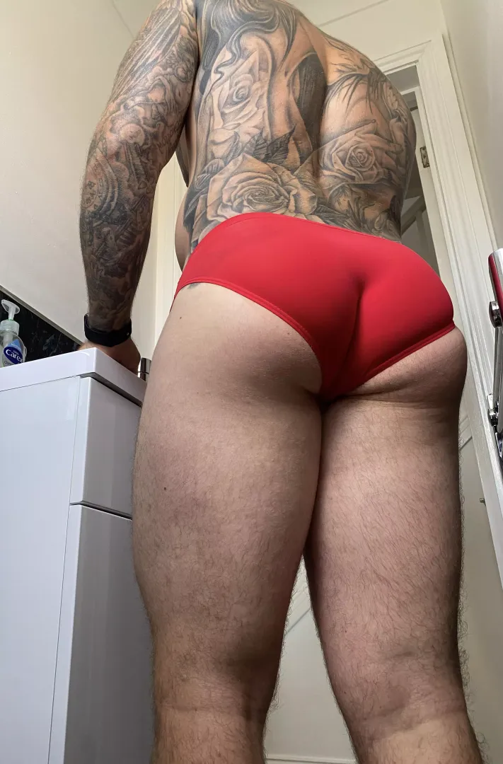 Do these briefs fit okay?