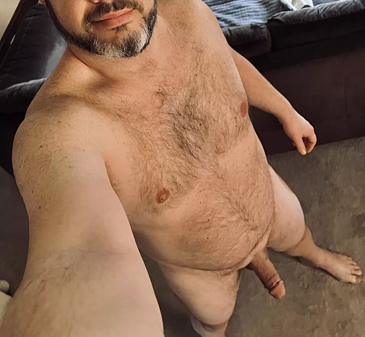 Do this fit the description ?