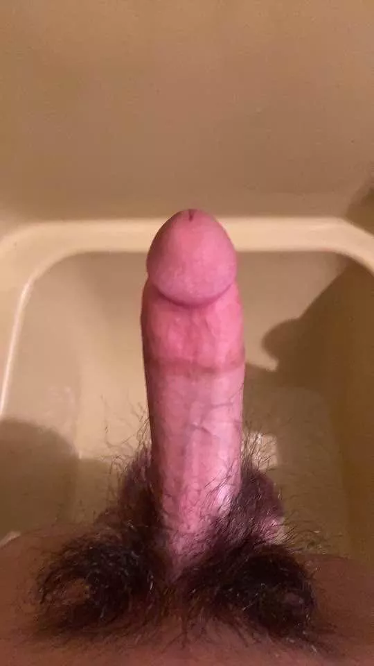 do u like the bush?
