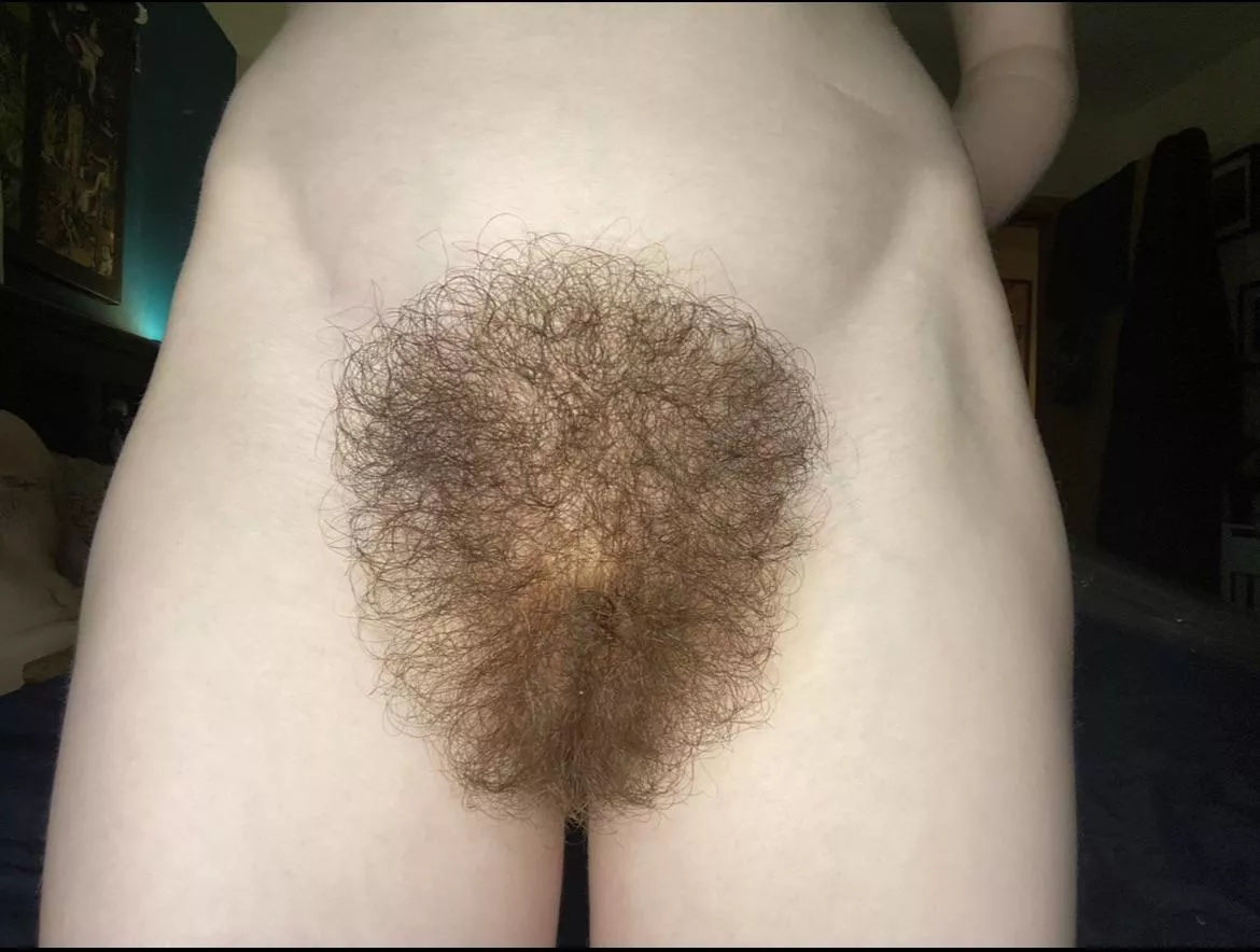 Do you enjoy looking at my morning fluff?