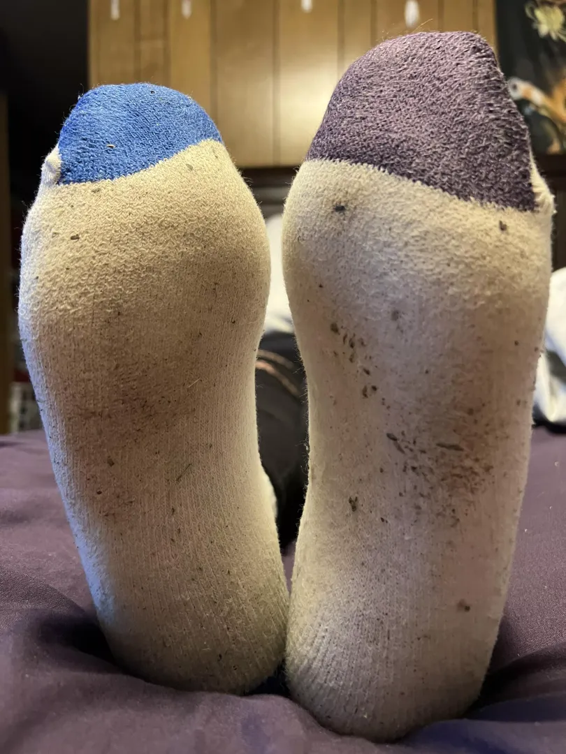 Do you enjoy smelly socks? You’ll love these. 😁😁