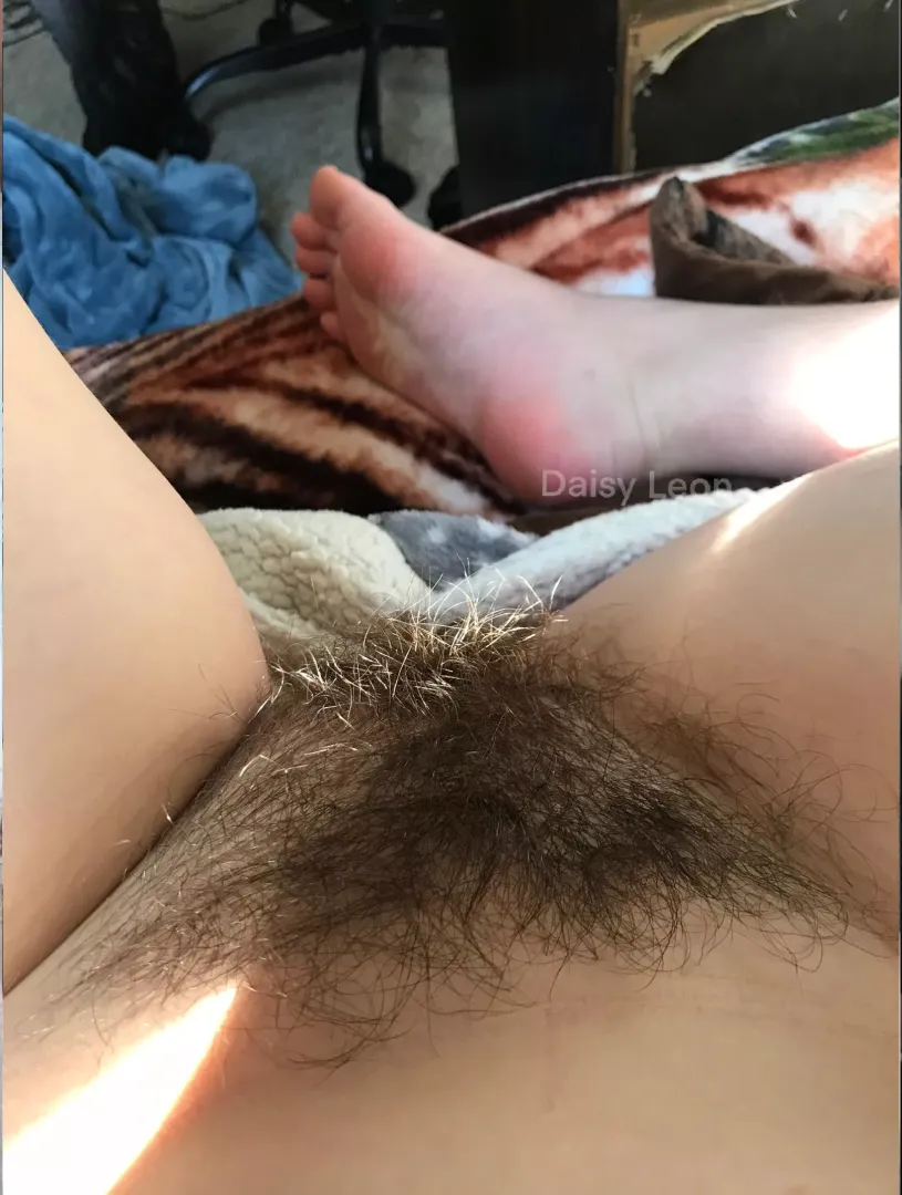 do you like bush or love bush?