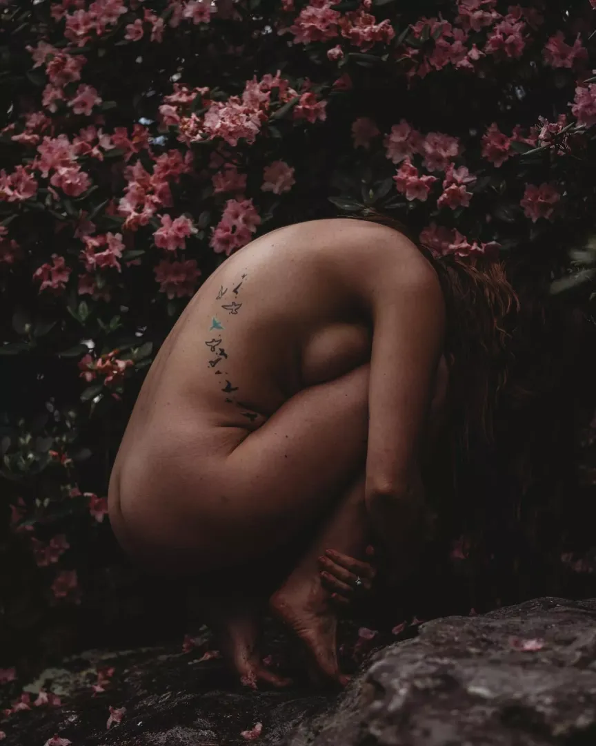 Do you like dark a moody nudies?