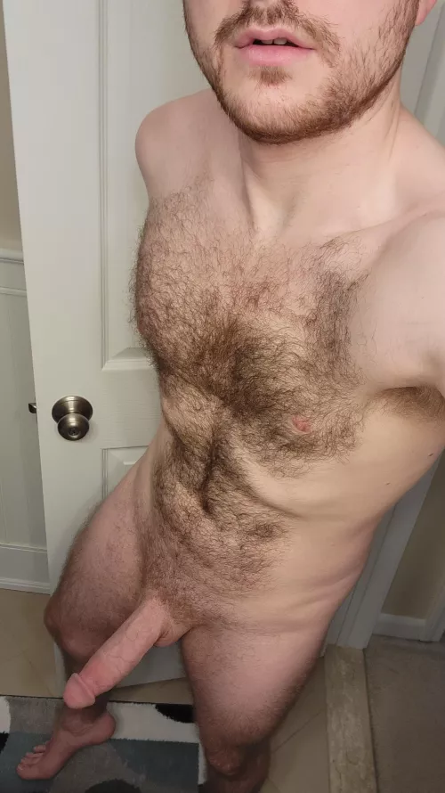 Do You Like Hairy Guys?