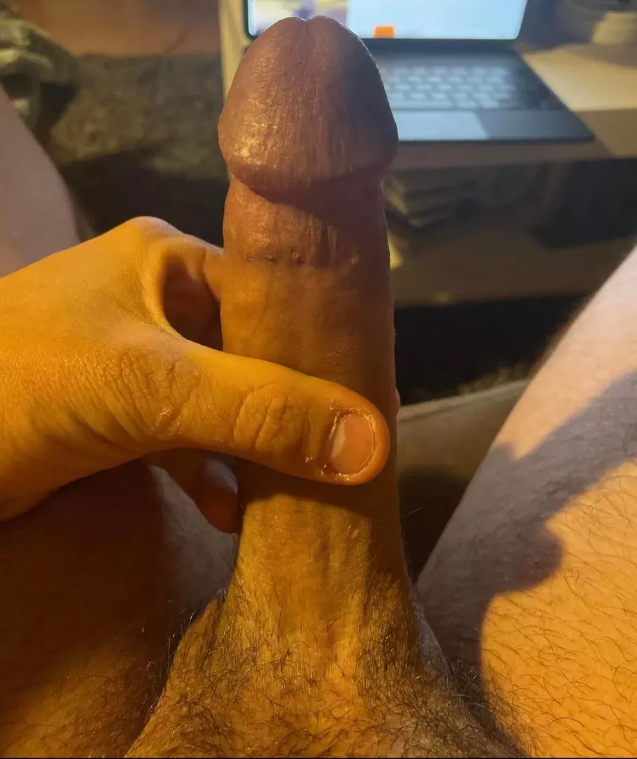 Do you like him?