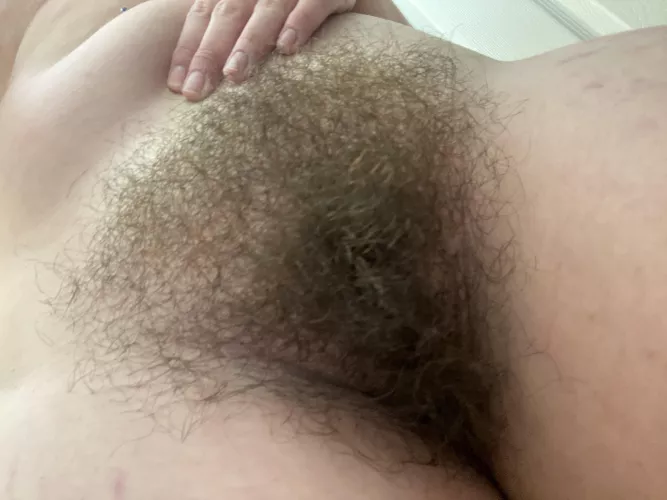Do you like how hairy I am?