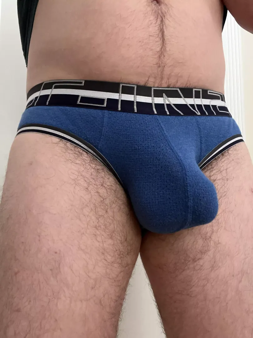 Do you like my bulge in these briefs?