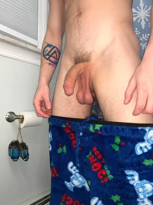Do you like my cock and balls