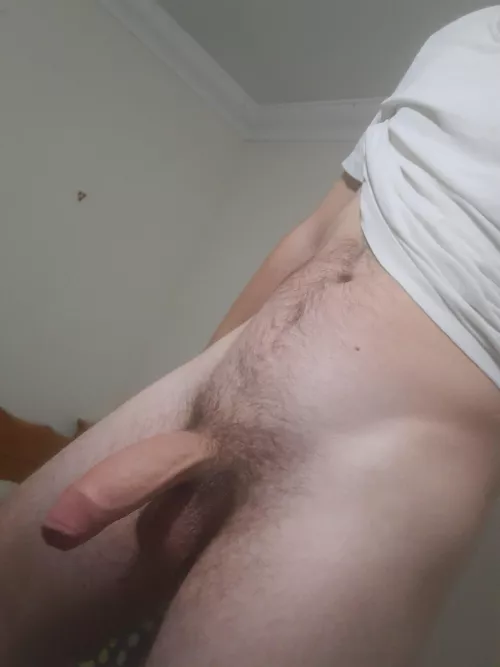 Do you like my Cock hanging in your face?