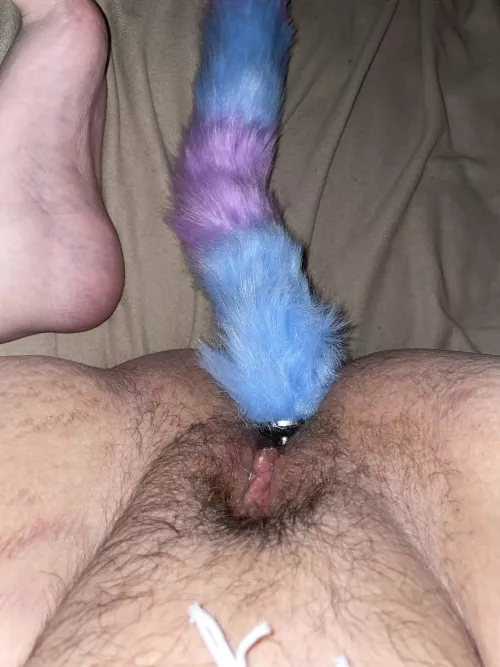 Do you like my tail? 😻