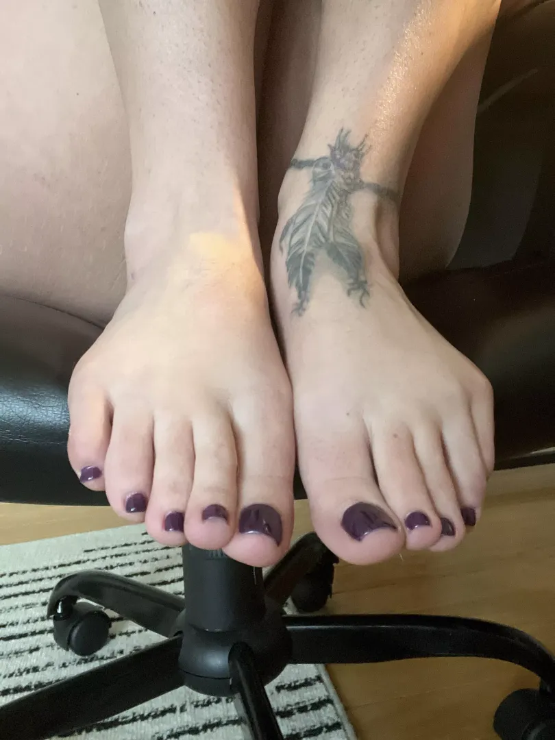 Do you like purple?