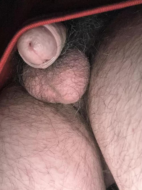 Do you like the view?