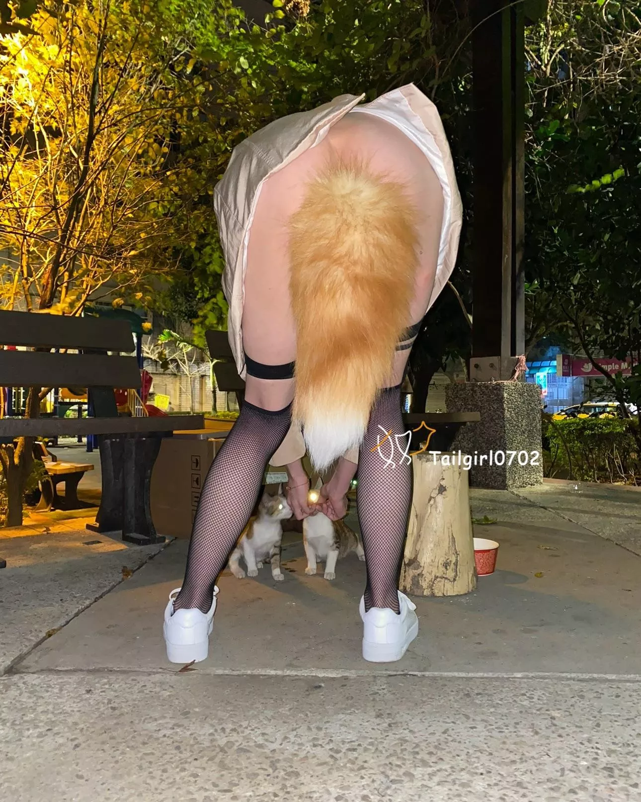 Do you love Tailgirl? Or you like Kitty more!?