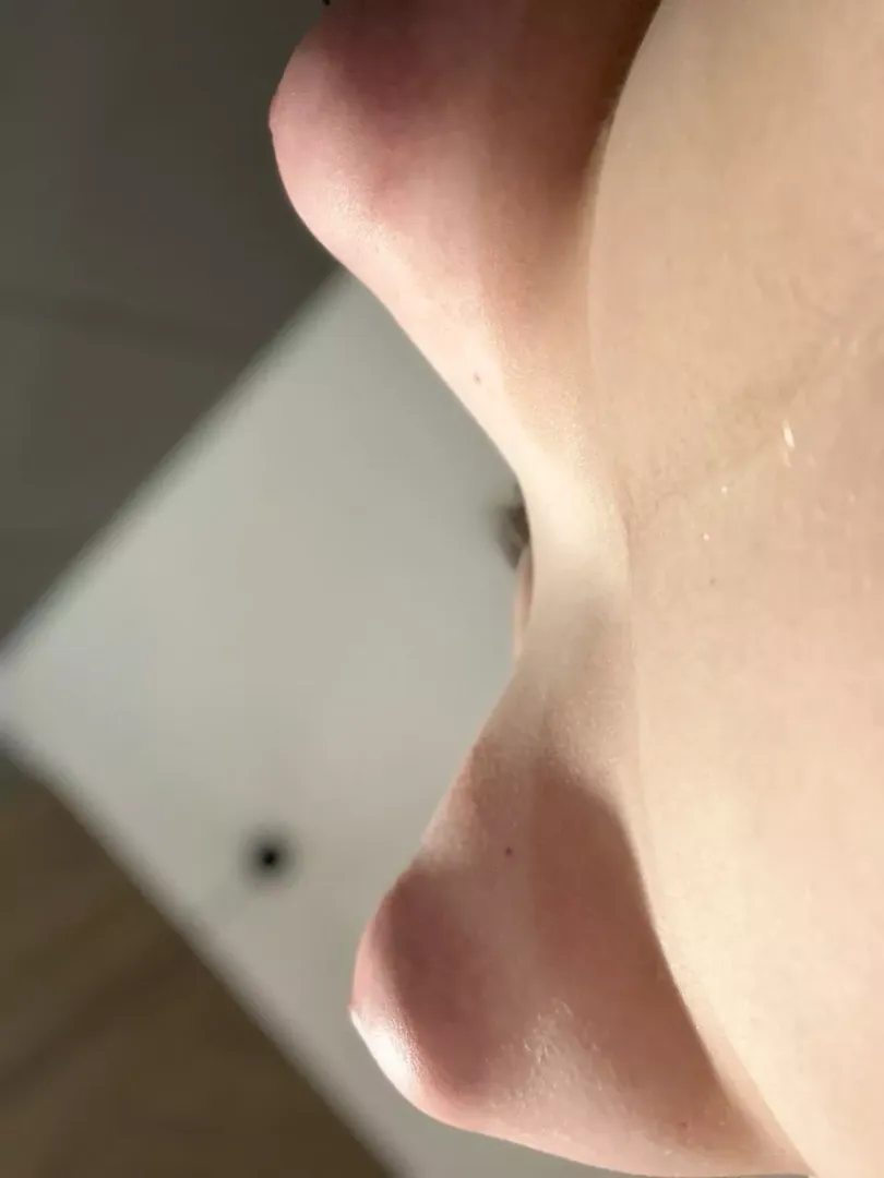 Do you see how big they are