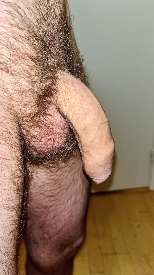 Do you think it is too hairy?