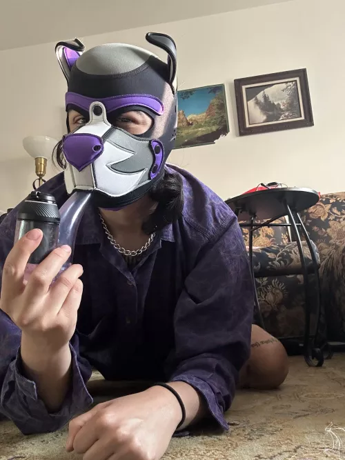 Do you think my collar looks pretty with the sunlight dancing off of it?? 