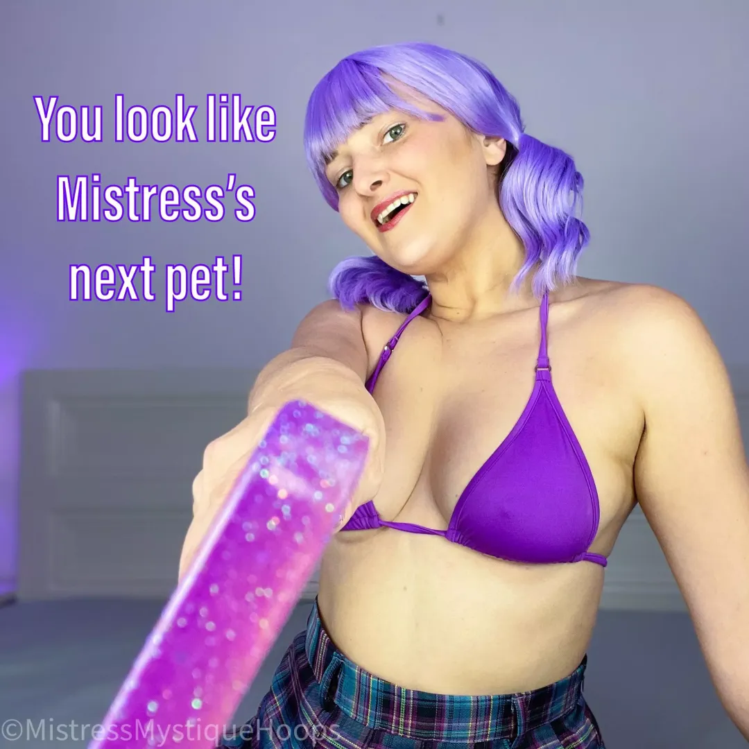 Do you think you can be a good pet?