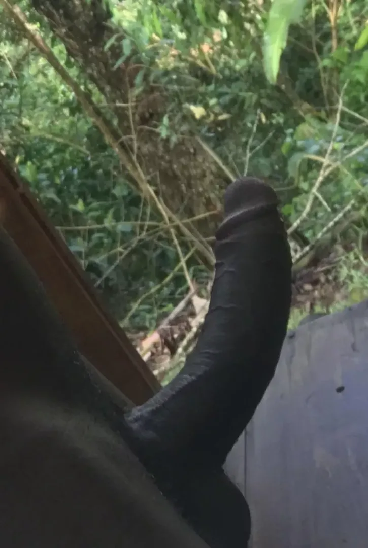Do you think you can climb this tree?