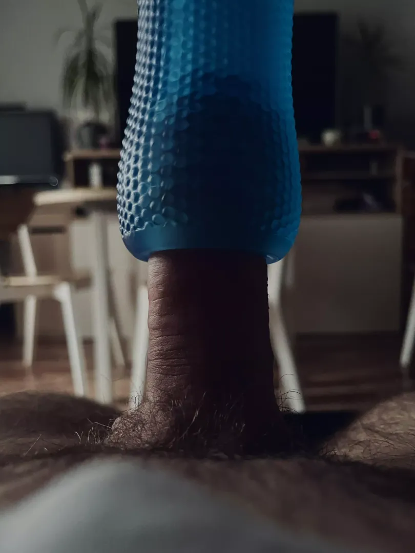 Do you want to swap with a sex toy?